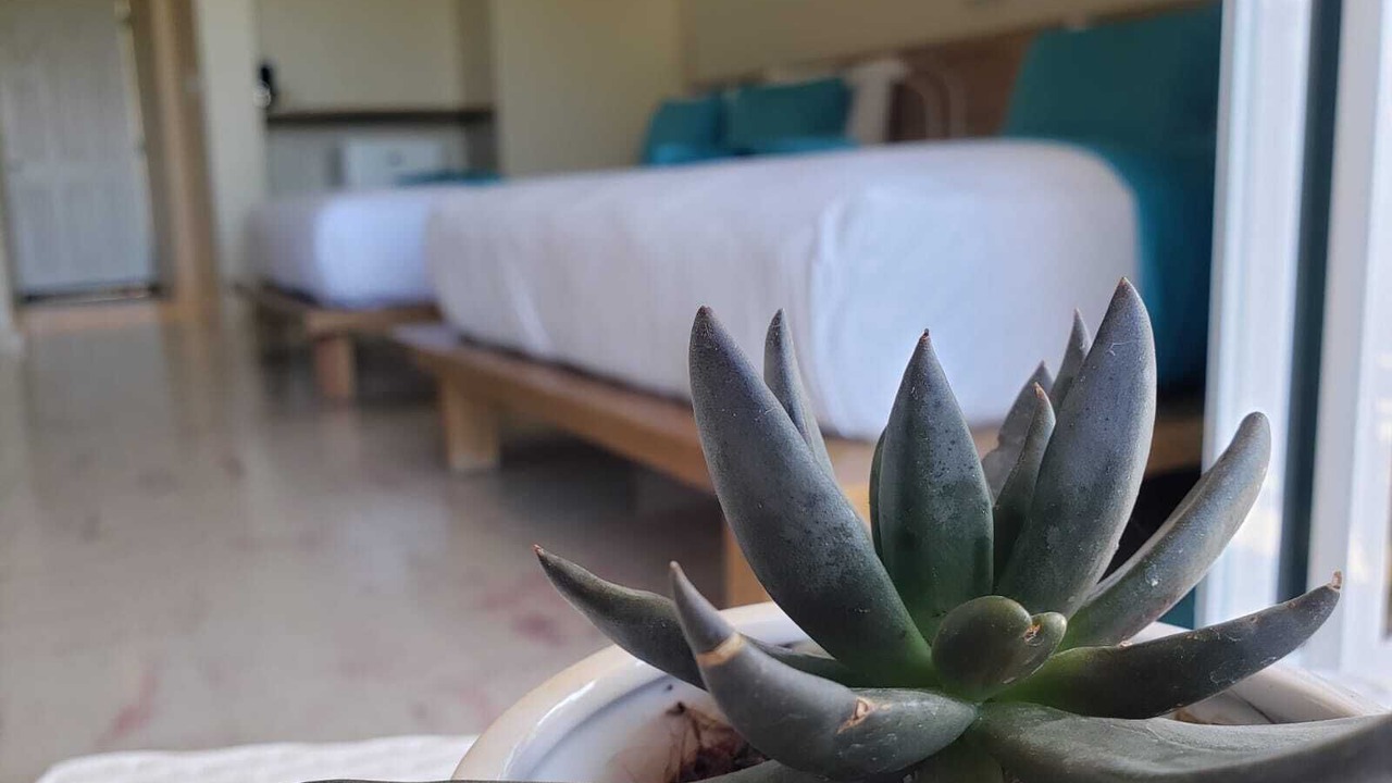 Photo of Bedroom in Punta Rucia