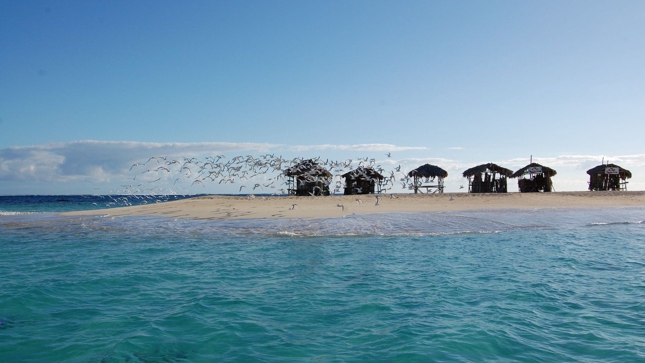 Photo of Others in Punta Rucia