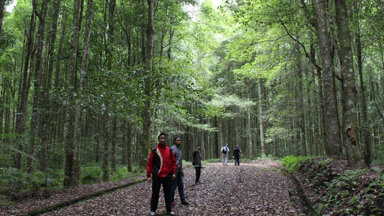 Photo of Outdoor in Candikuning