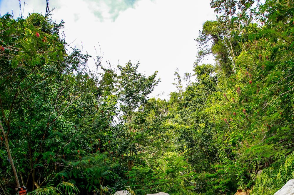 Photo of Outdoor in San Jose de las Matas