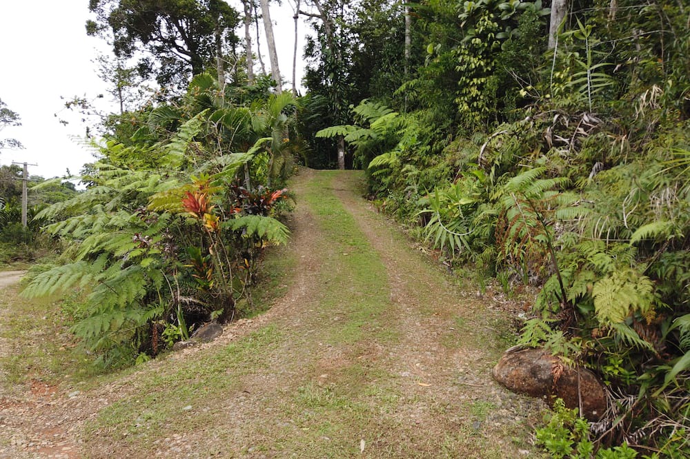 Photo of Outdoor in Deuba