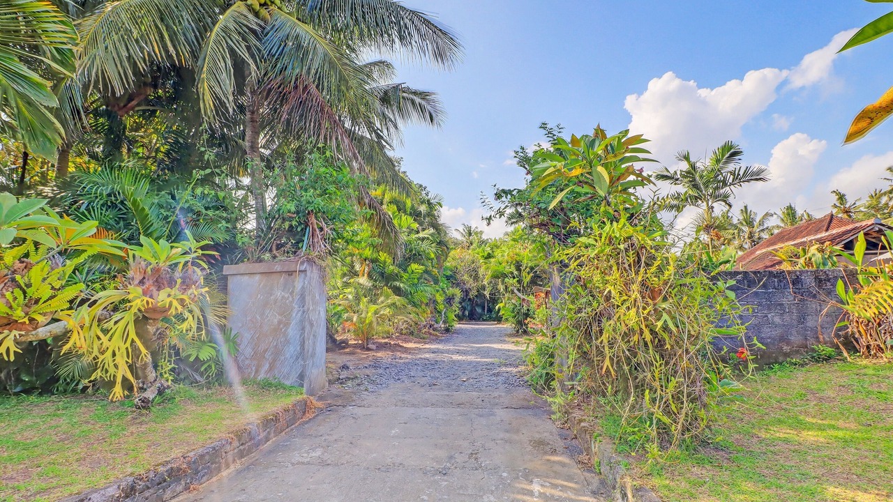 Photo of Outdoor in Negara
