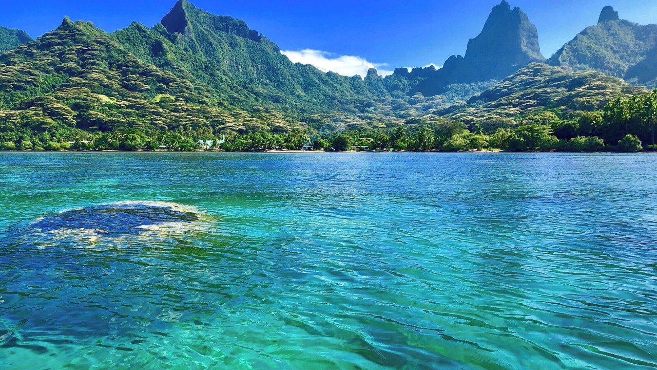 Photo of Others in Moorea-Maiao