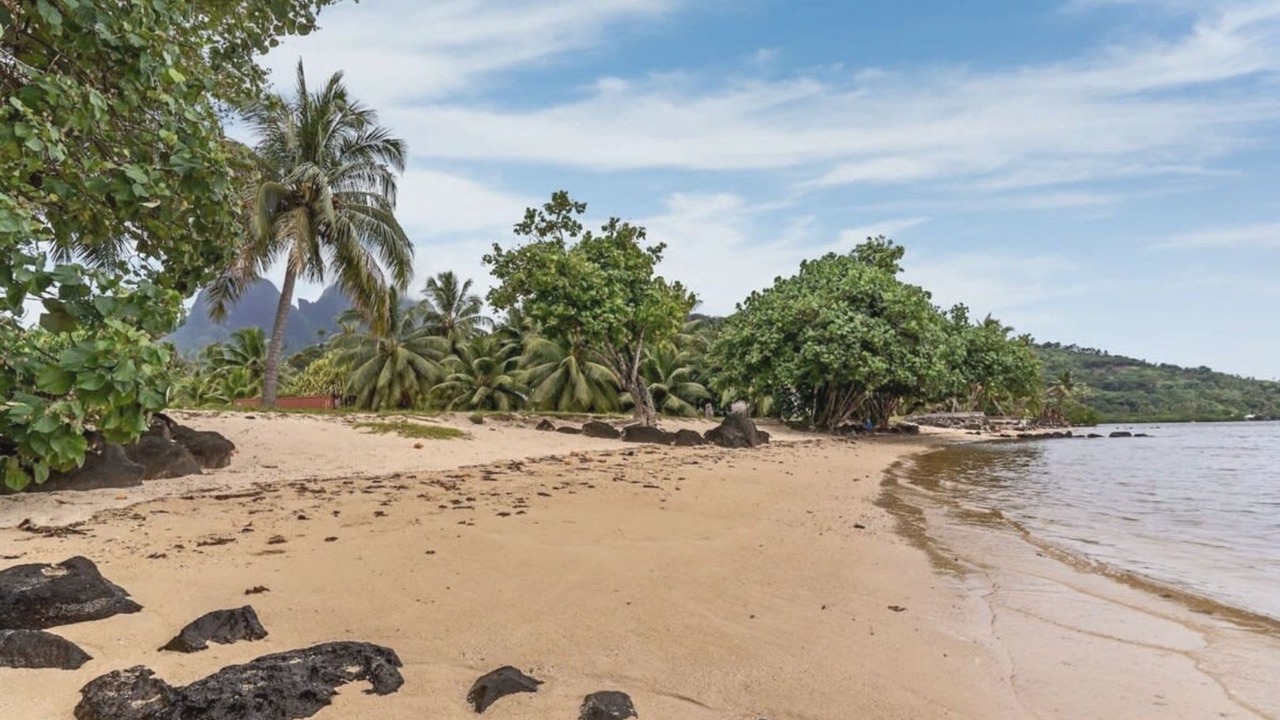 Photo of Others in Moorea-Maiao