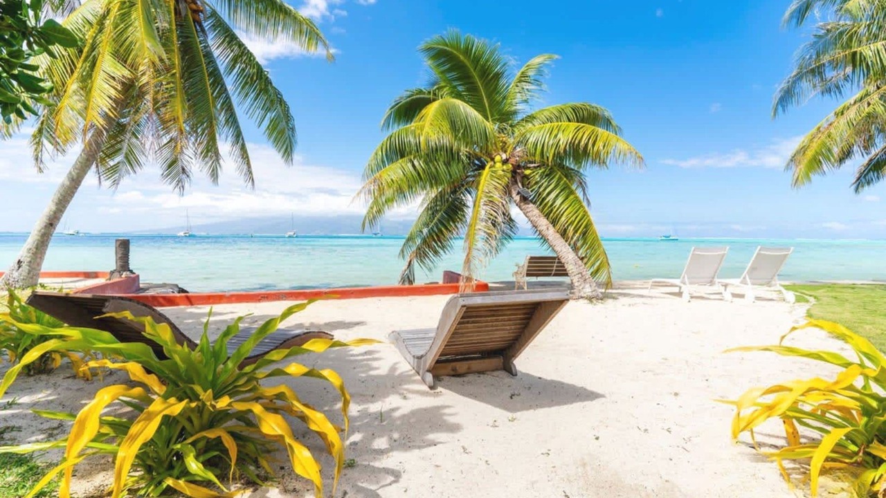 Photo of Others in Moorea-Maiao