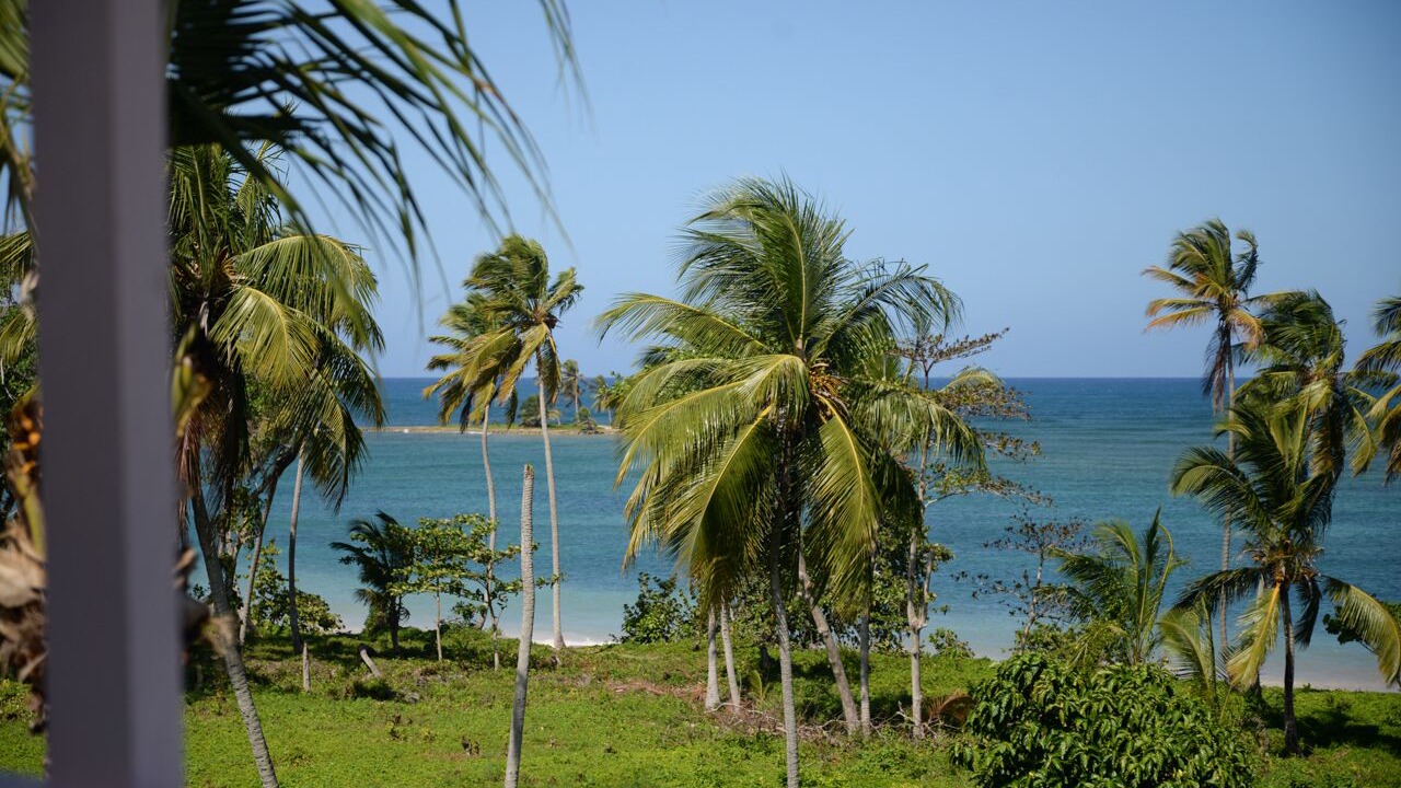 Photo of Others in Las Galeras