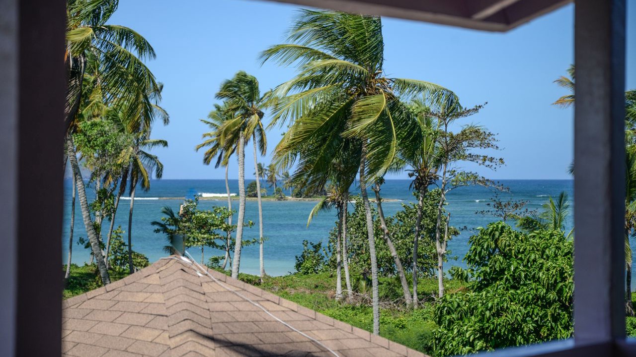 Photo of Others in Las Galeras