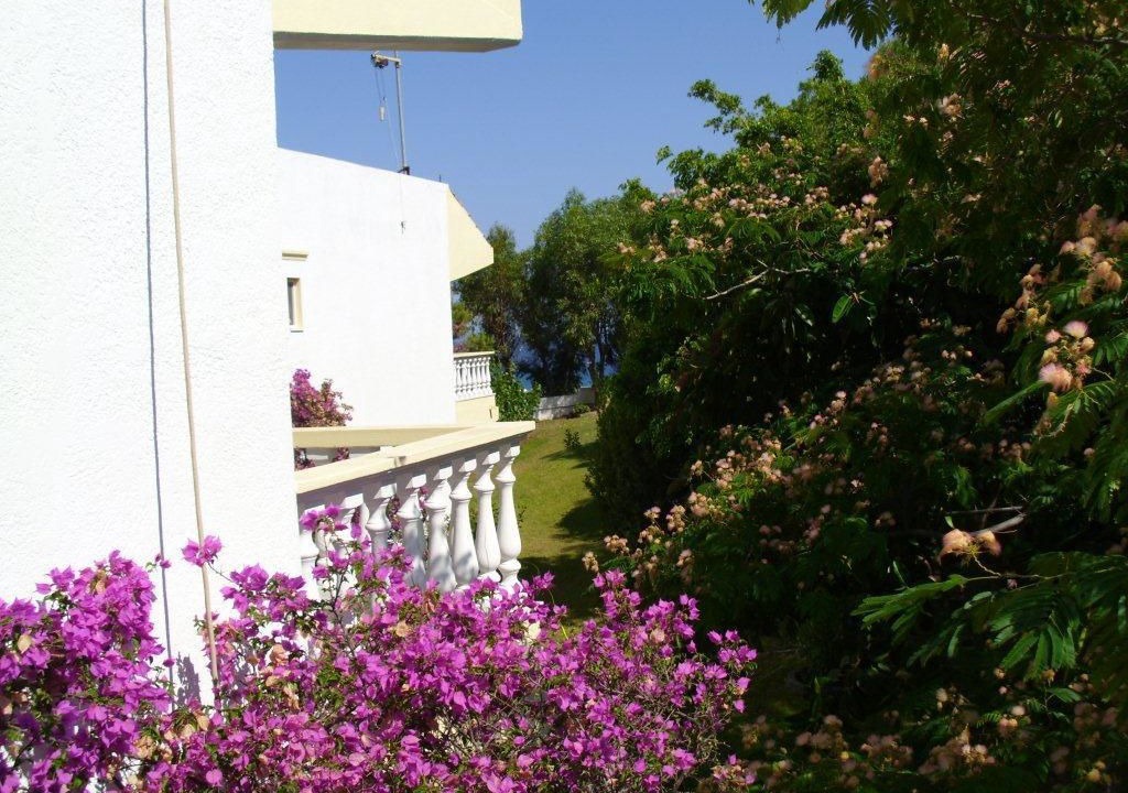 Photo of Outdoor in Afandou
