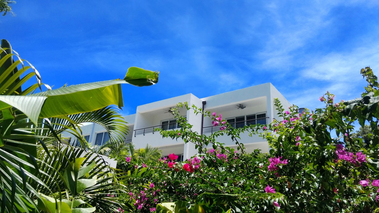 Photo of Outdoor in El Batey
