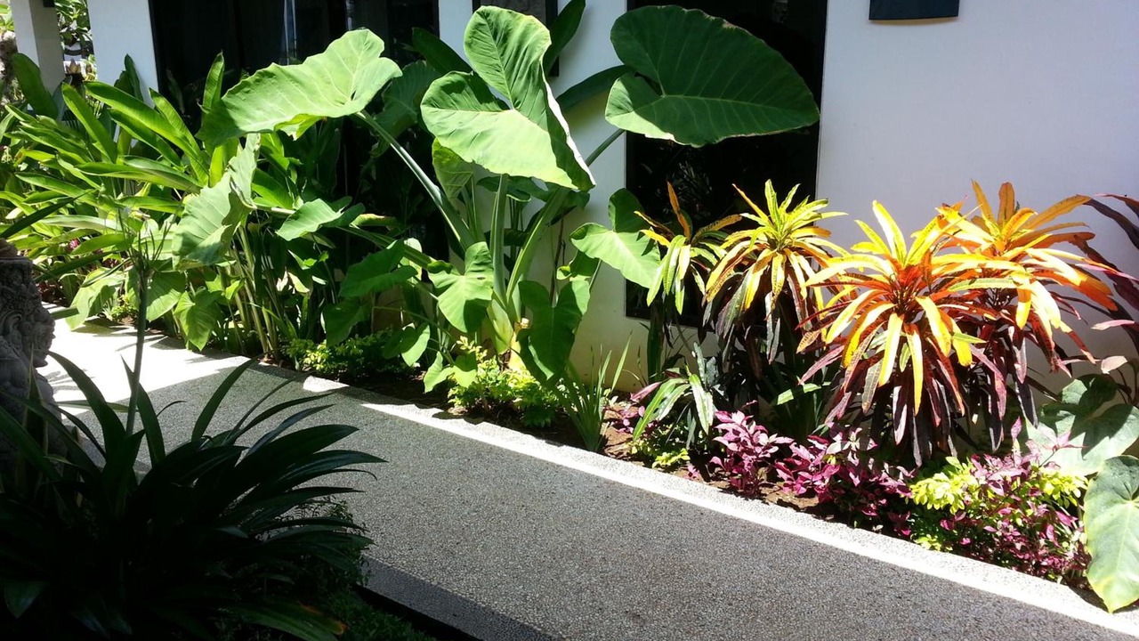 Photo of Outdoor in Pemaron