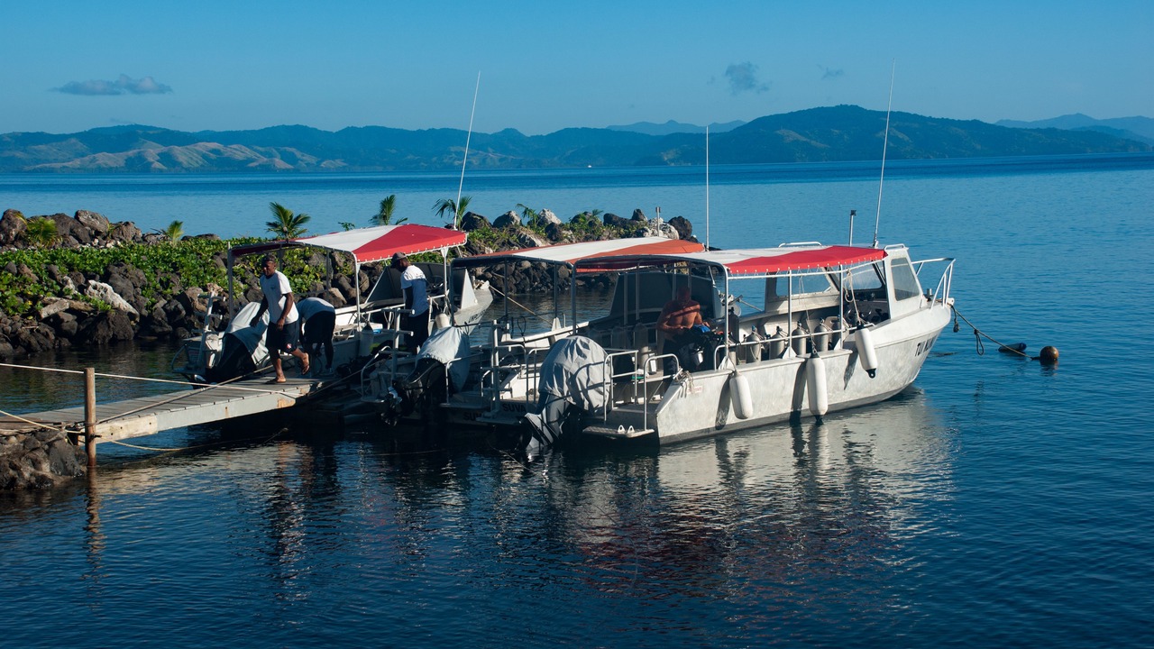 Photo of Others in Taveuni Island West