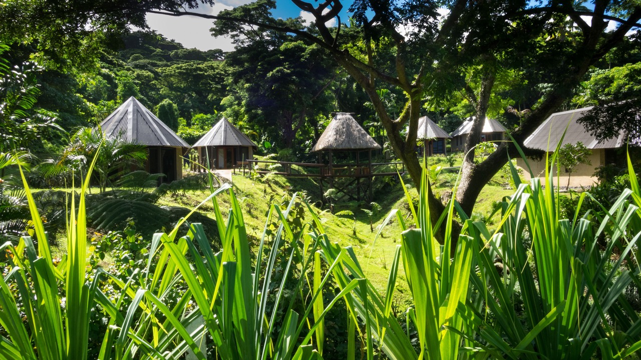 Photo of Outdoor in Taveuni Island West