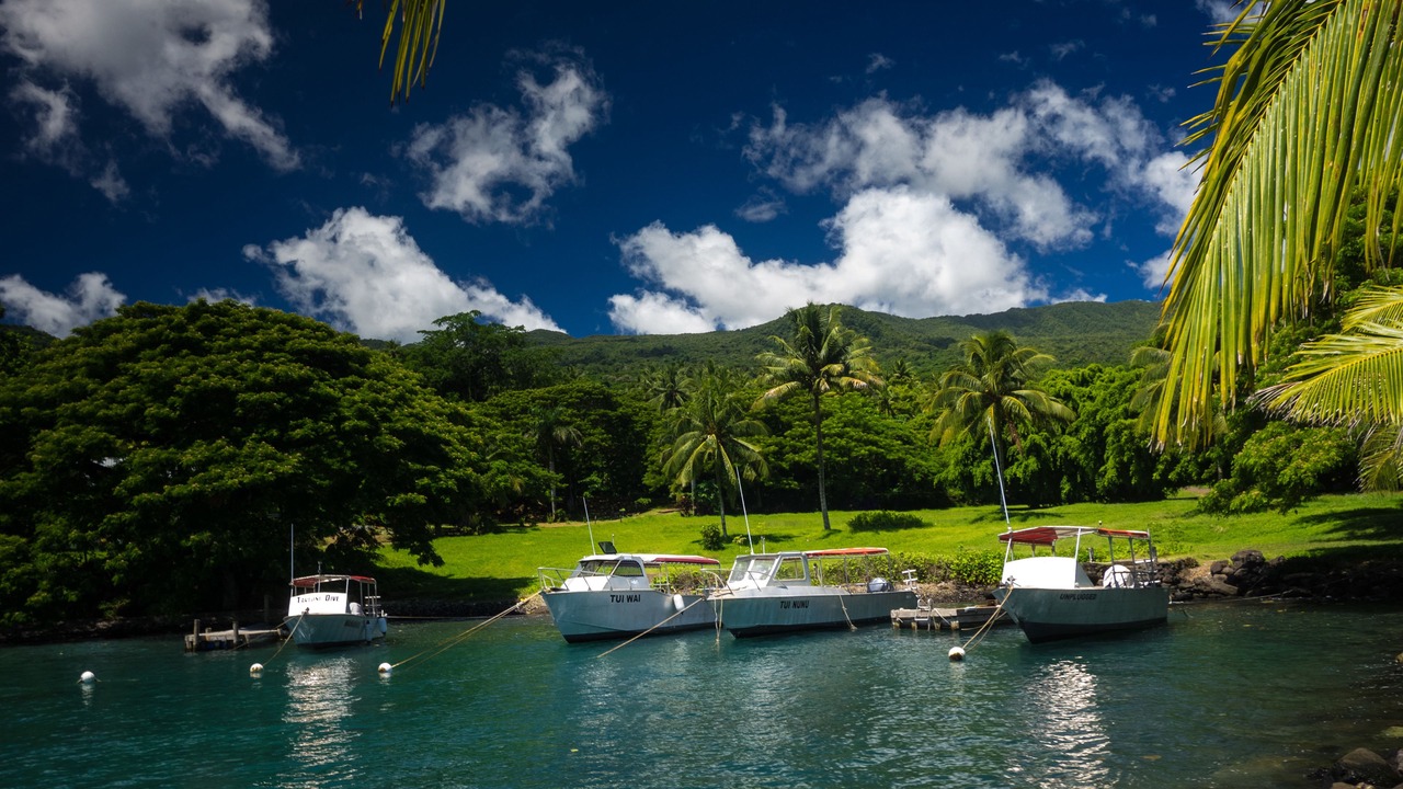 Photo of Others in Taveuni Island West