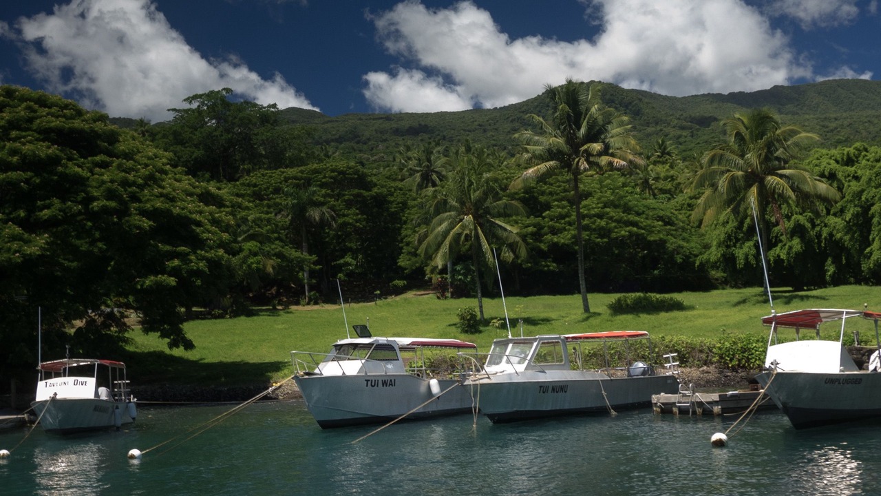 Photo of Others in Taveuni Island West