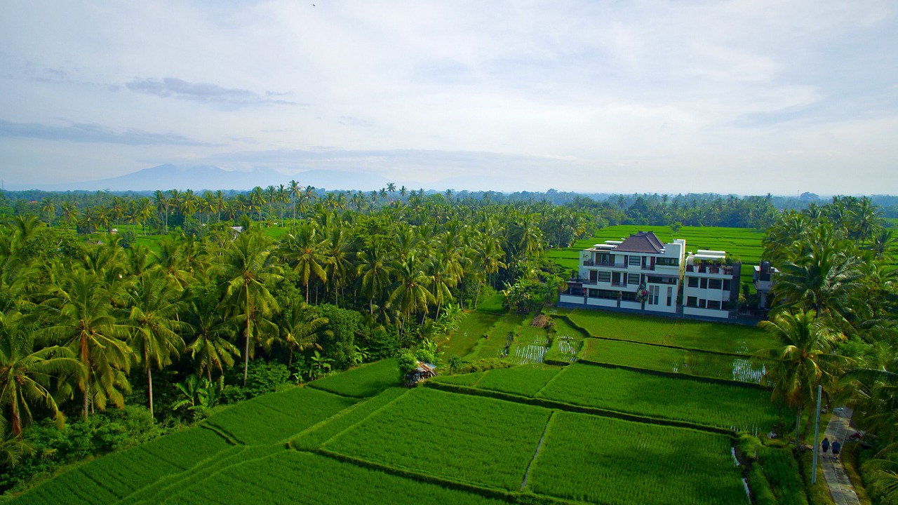 Photo of Outdoor in Ubud City-Centre