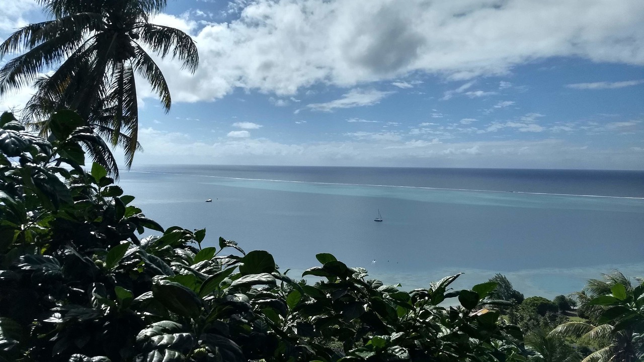 Photo of Others in Teahupoo