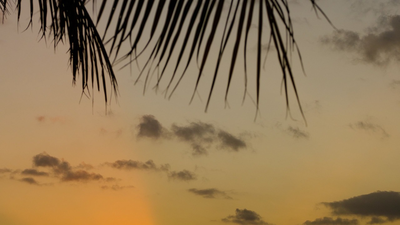 Photo of Others in Wailoloa