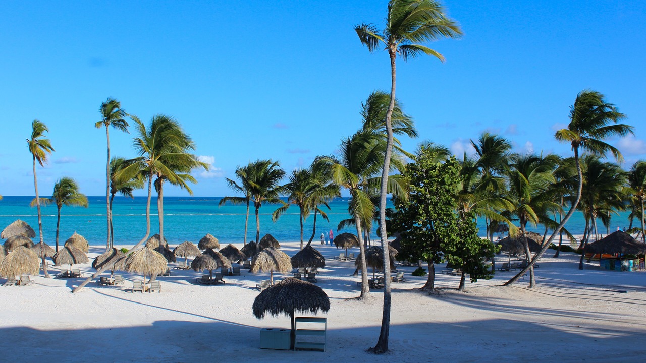 Photo of Others in Punta Cana