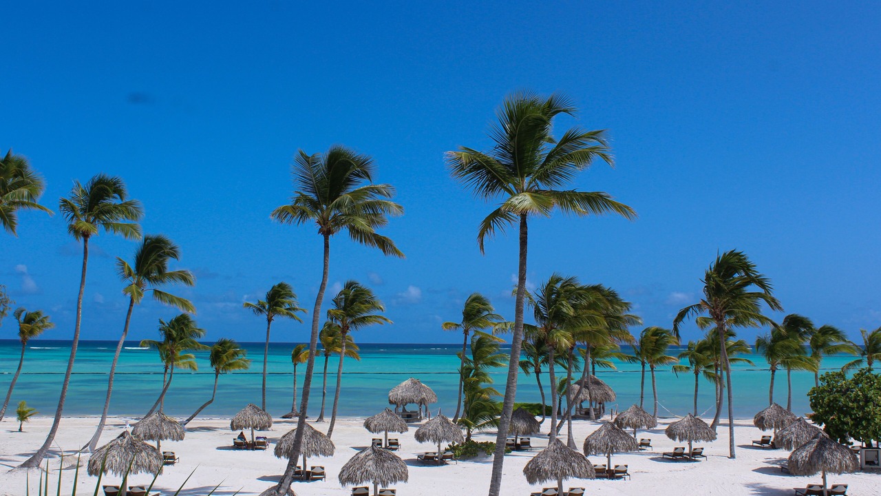 Photo of Outdoor in Punta Cana