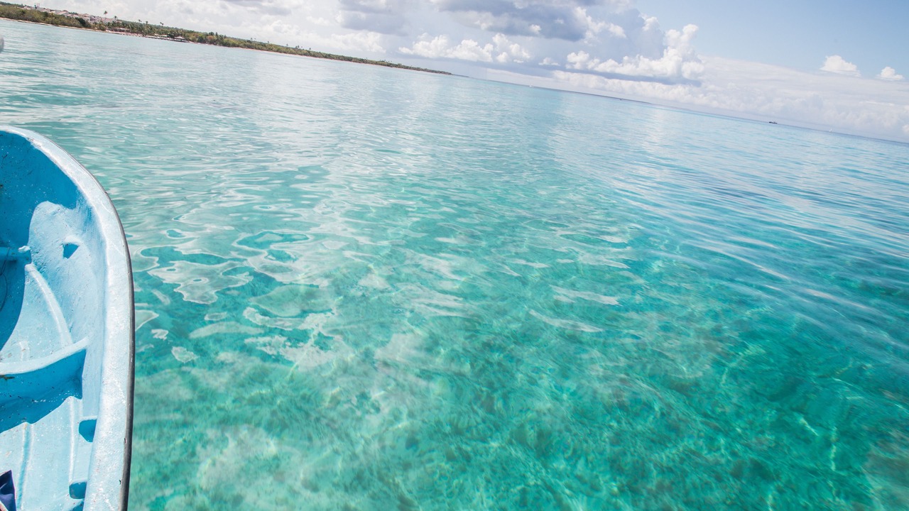 Photo of Others in Dominicus