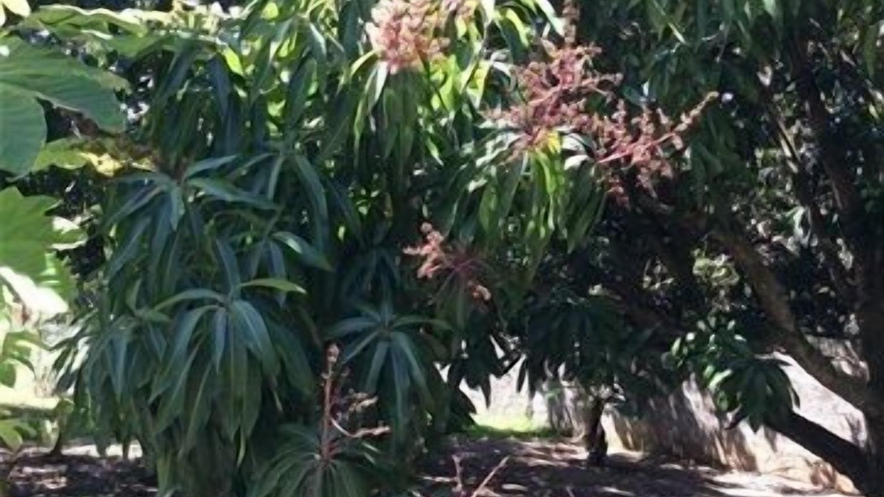 Photo of Outdoor in Cabarete