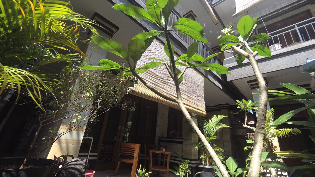 Photo of Others in Ubud City-Centre