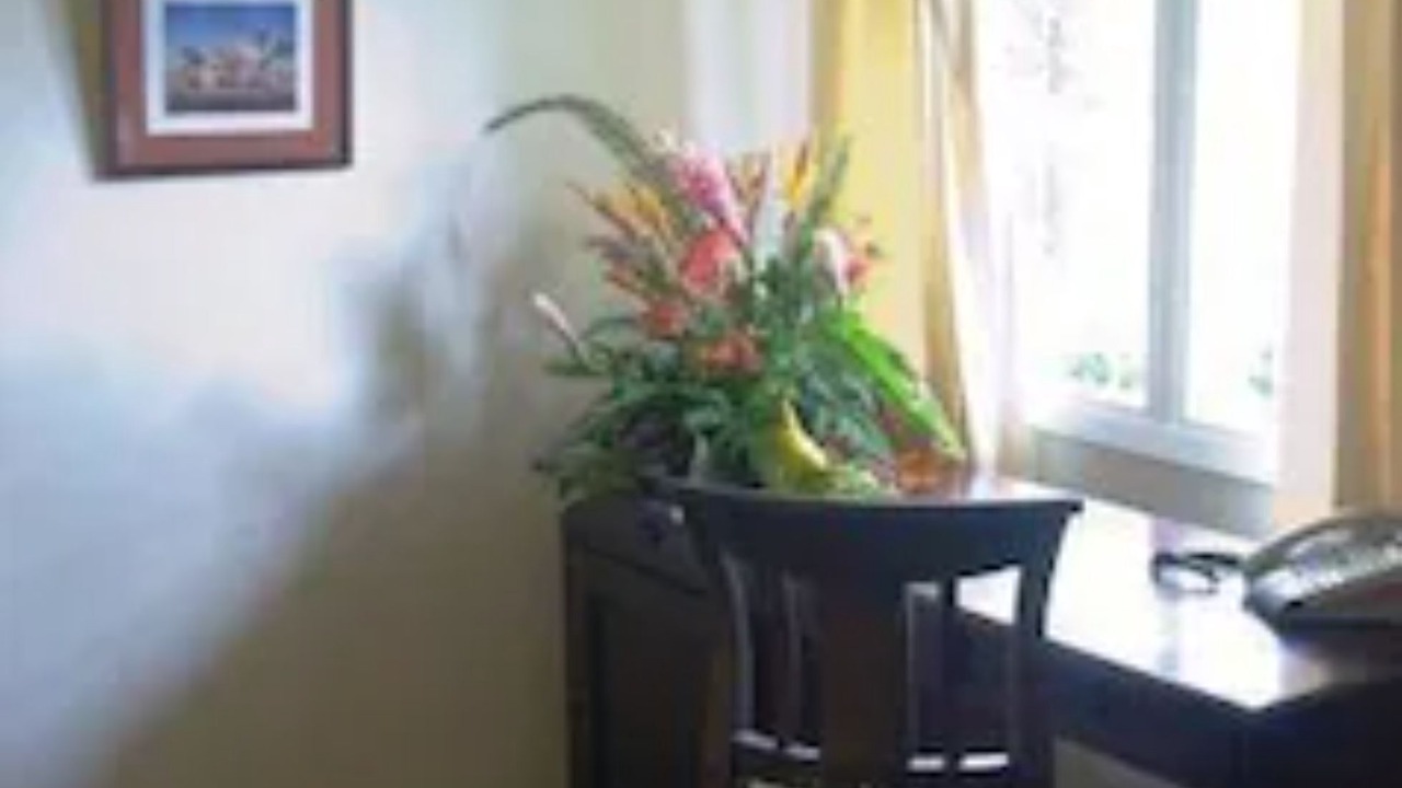 Photo of Others in Suva