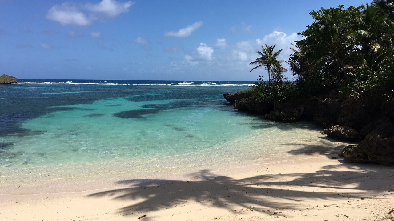 Photo of Others in Las Galeras