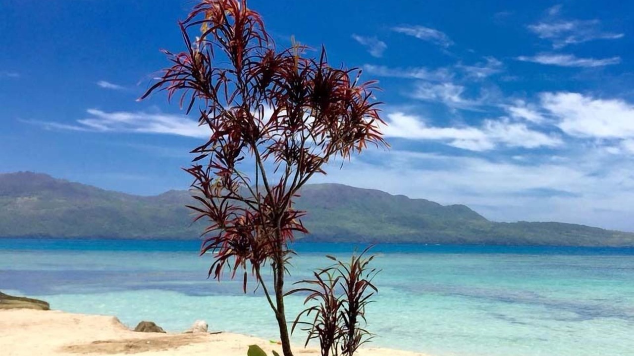 Photo of Outdoor in Las Galeras