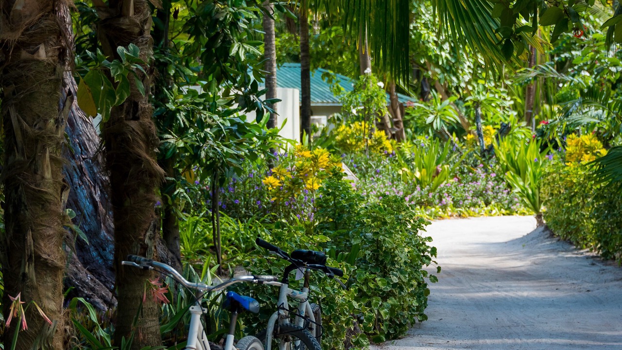 Photo of Outdoor in Denis Island