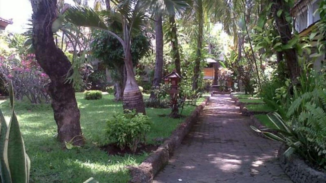 Photo of Outdoor in Lovina