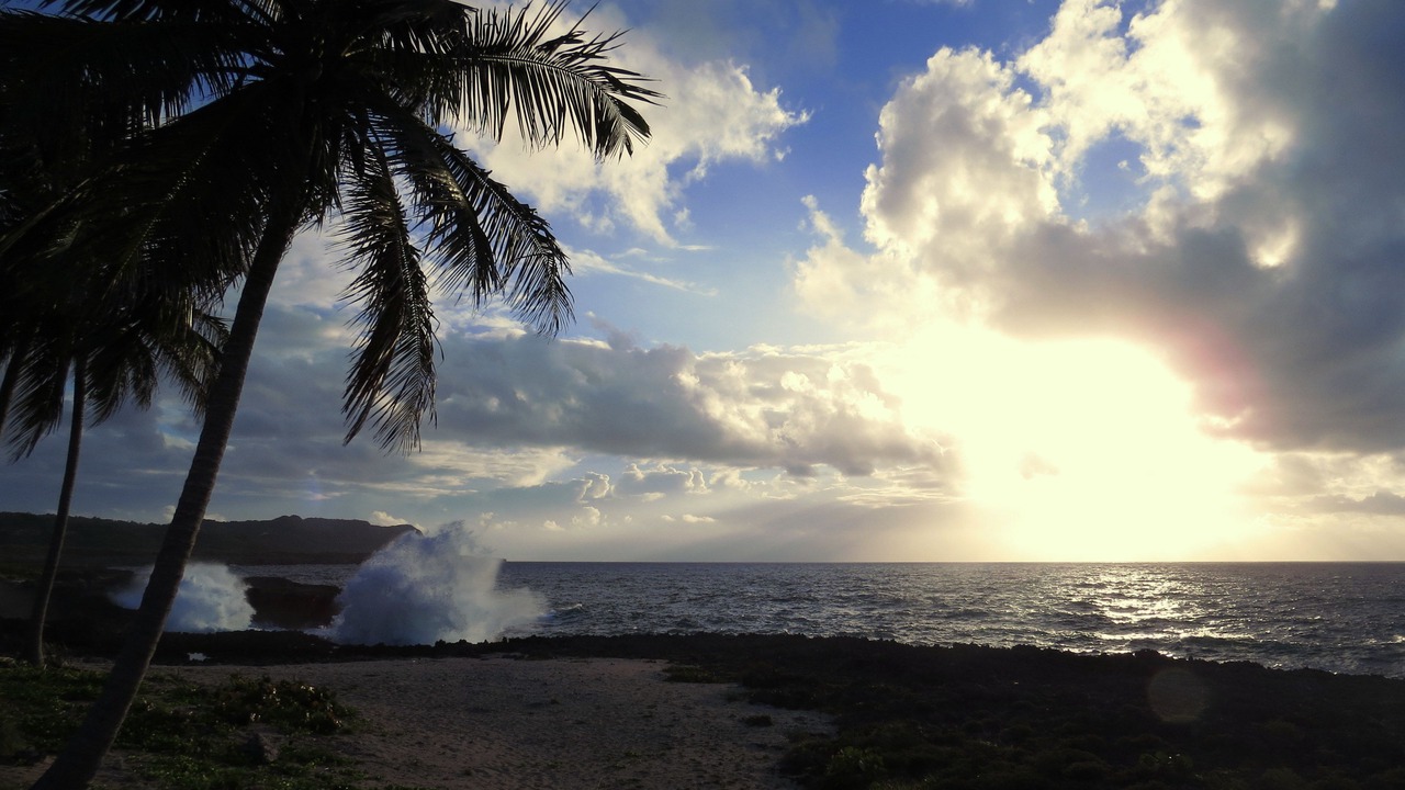 Photo of Others in Samana