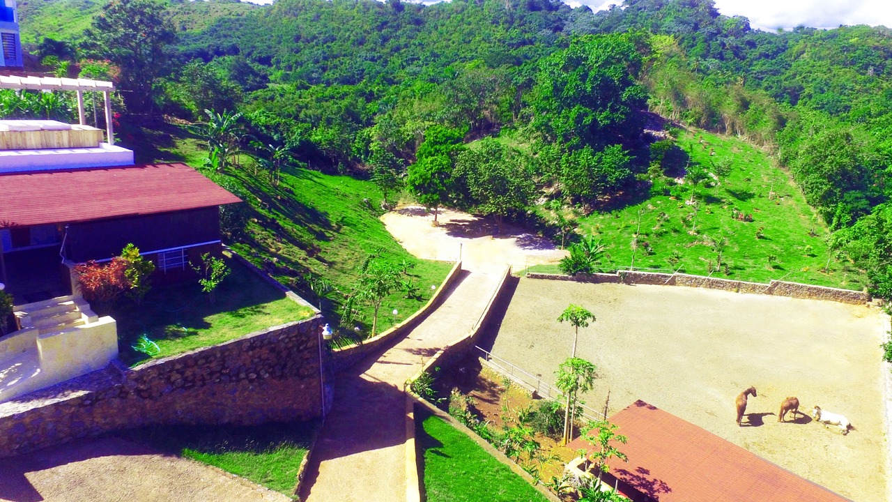 Photo of Others in Las Galeras
