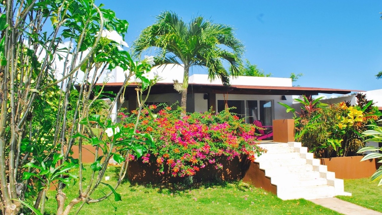 Photo of Others in Las Galeras