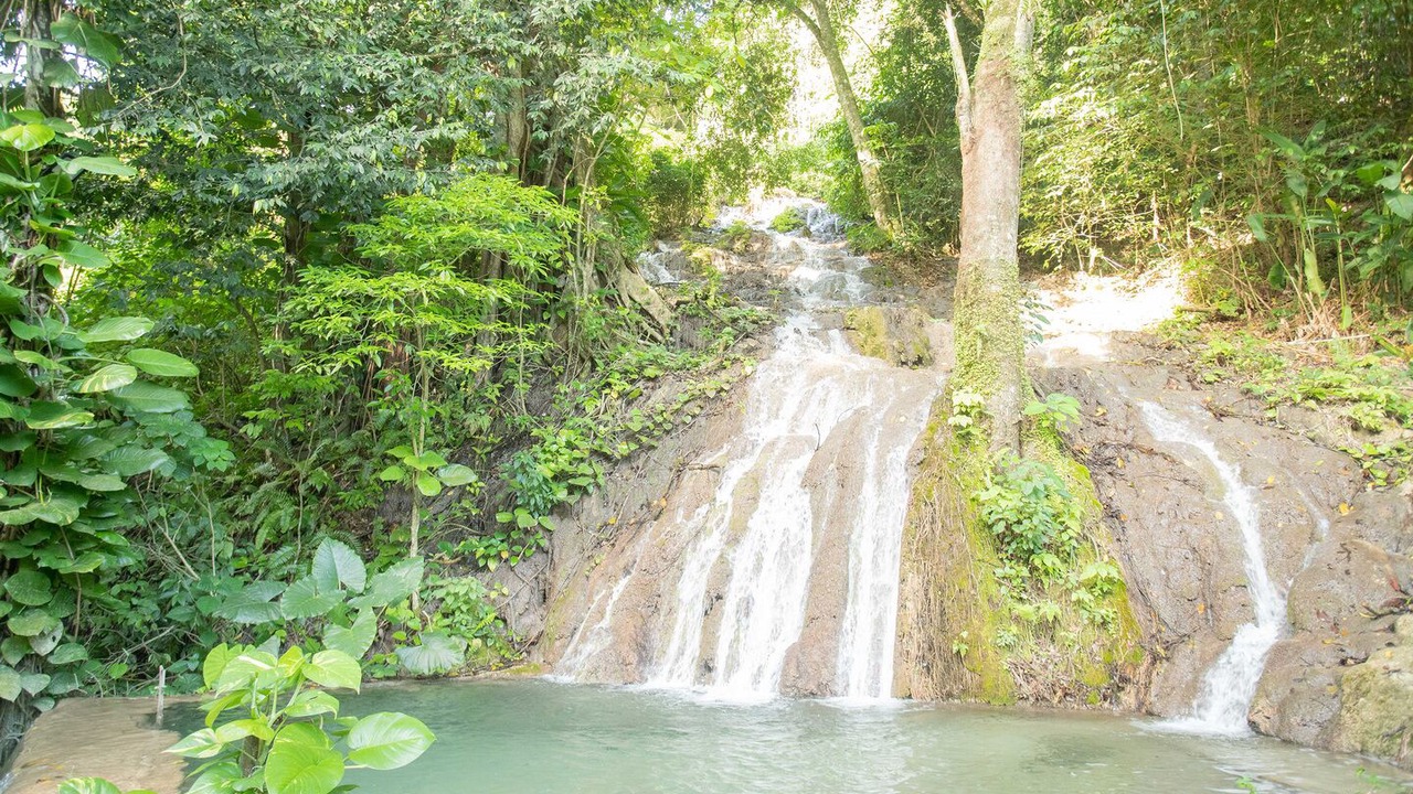 Photo of Outdoor in Paraiso