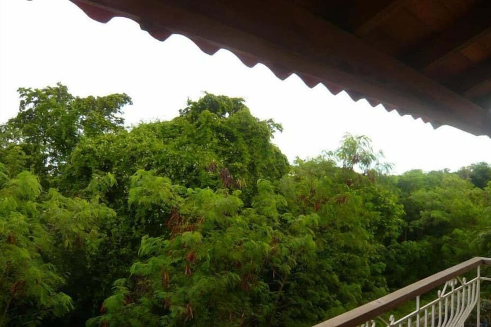 Photo of Others in Dominicus