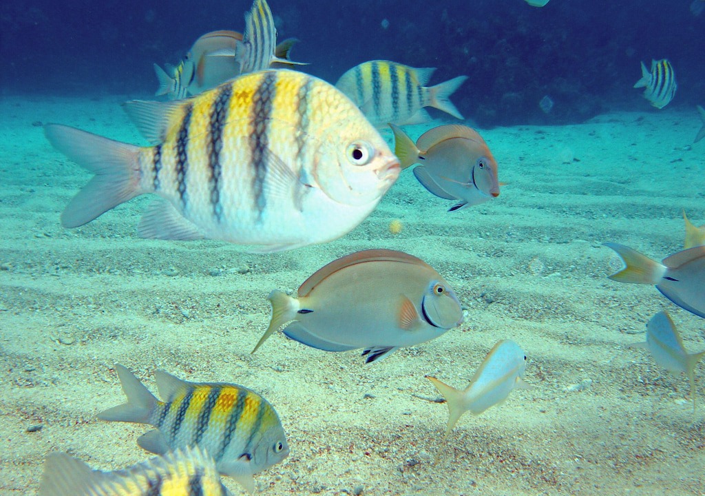 Photo of Others in Punta Rucia