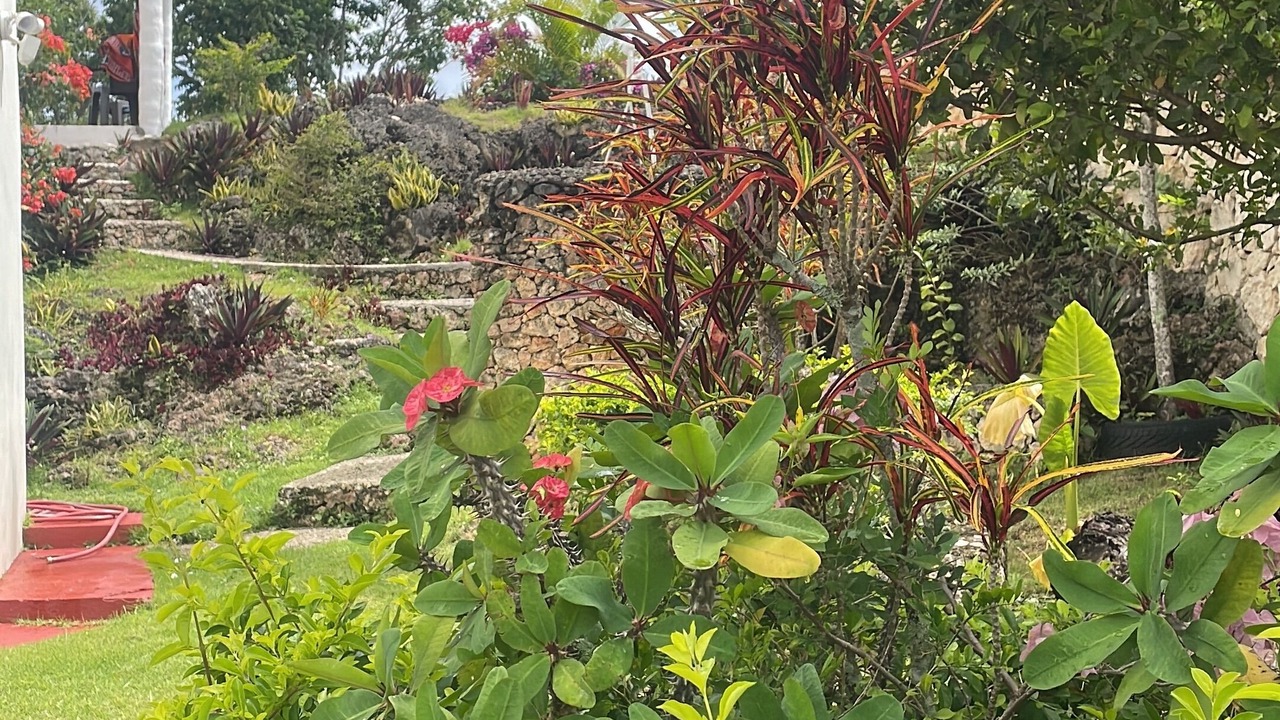 Photo of Outdoor in Rio San Juan
