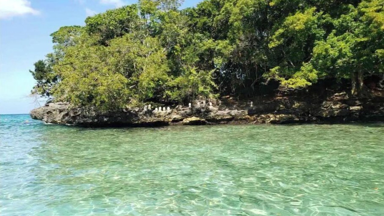 Photo of Others in Rio San Juan