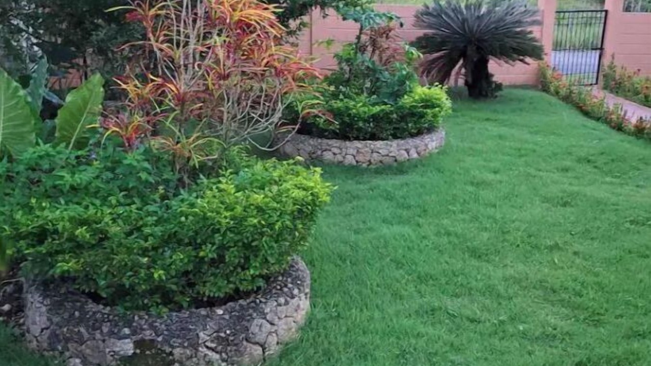Photo of Outdoor in Rio San Juan