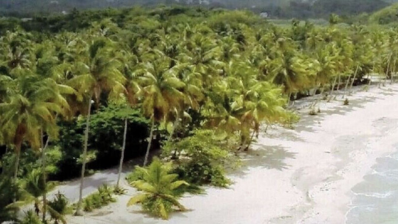 Photo of Others in Las Terrenas