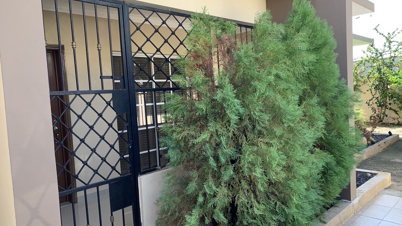 Photo of Outdoor in San Pedro de Macoris