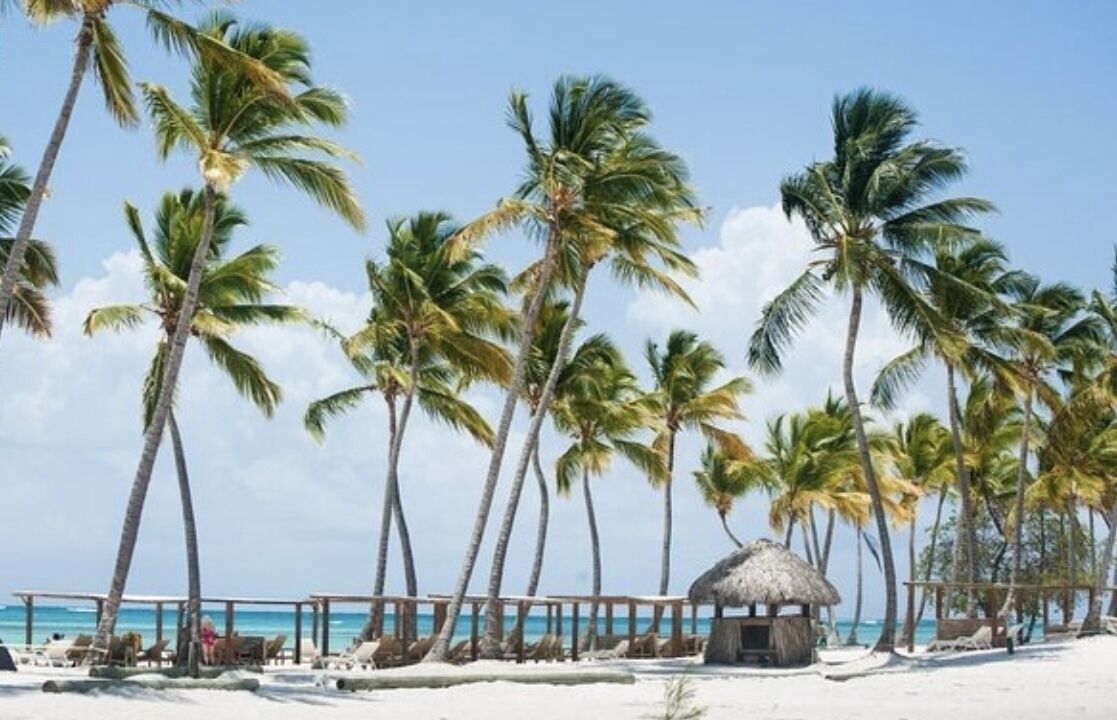 Photo of Others in Cap Cana Marina