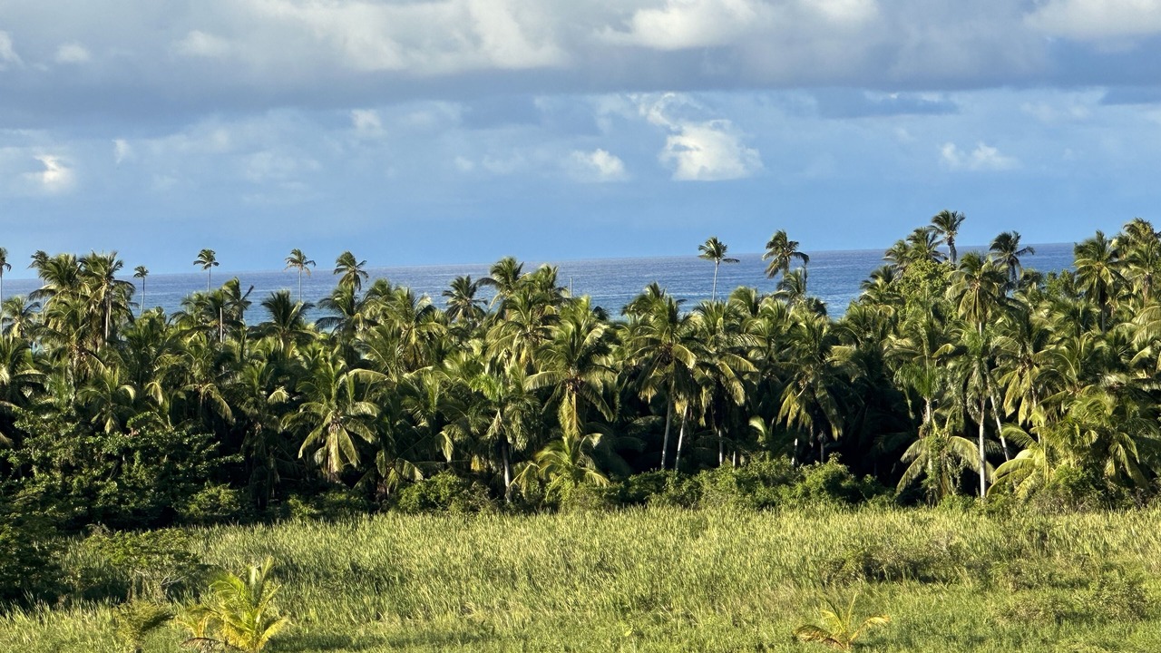 Photo of Outdoor in Las Terrenas