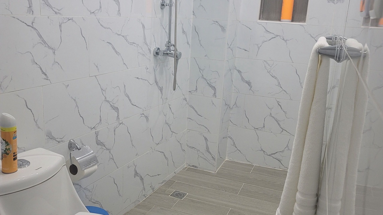 Photo of Bathroom in Lope De Vega