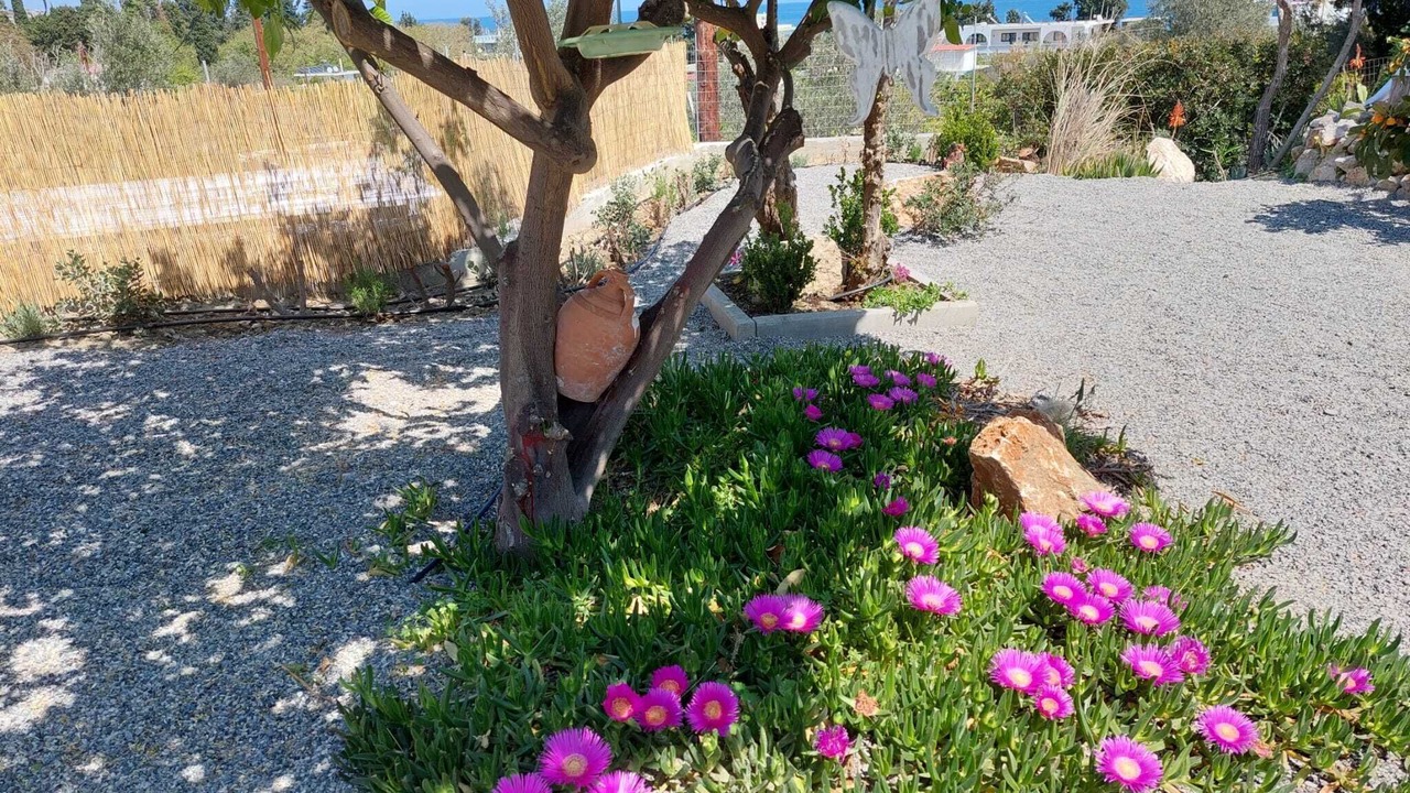 Photo of Outdoor in Stegna