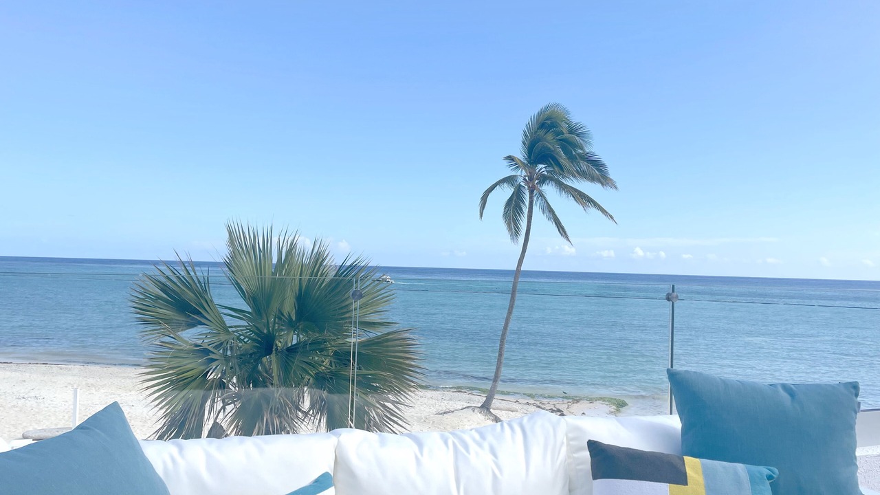 Photo of Others in Cap Cana Marina