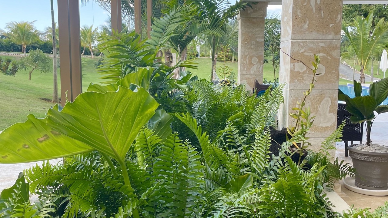 Photo of Outdoor in Monte Plata