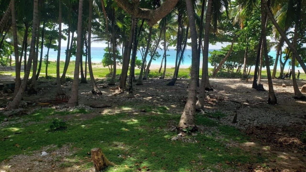 Photo of Others in Paraiso