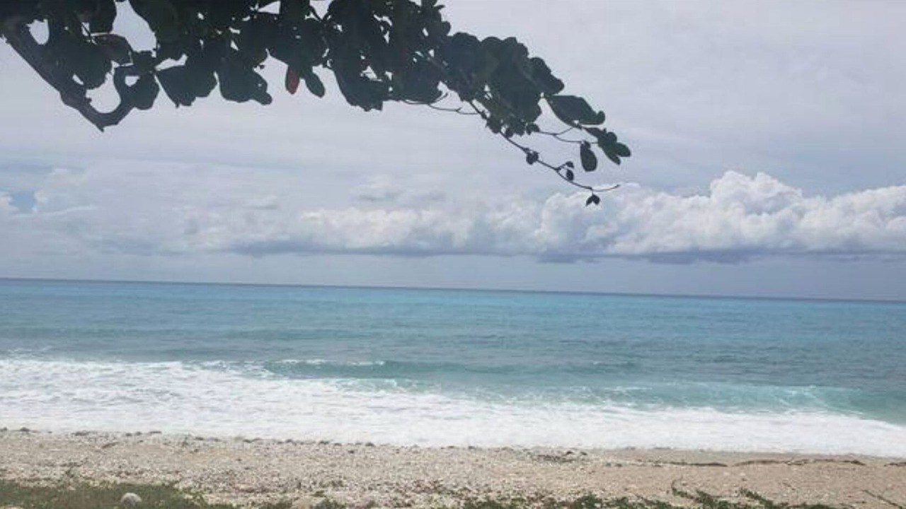 Photo of Others in Paraiso